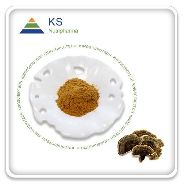 Coriolus Versicolor Extract